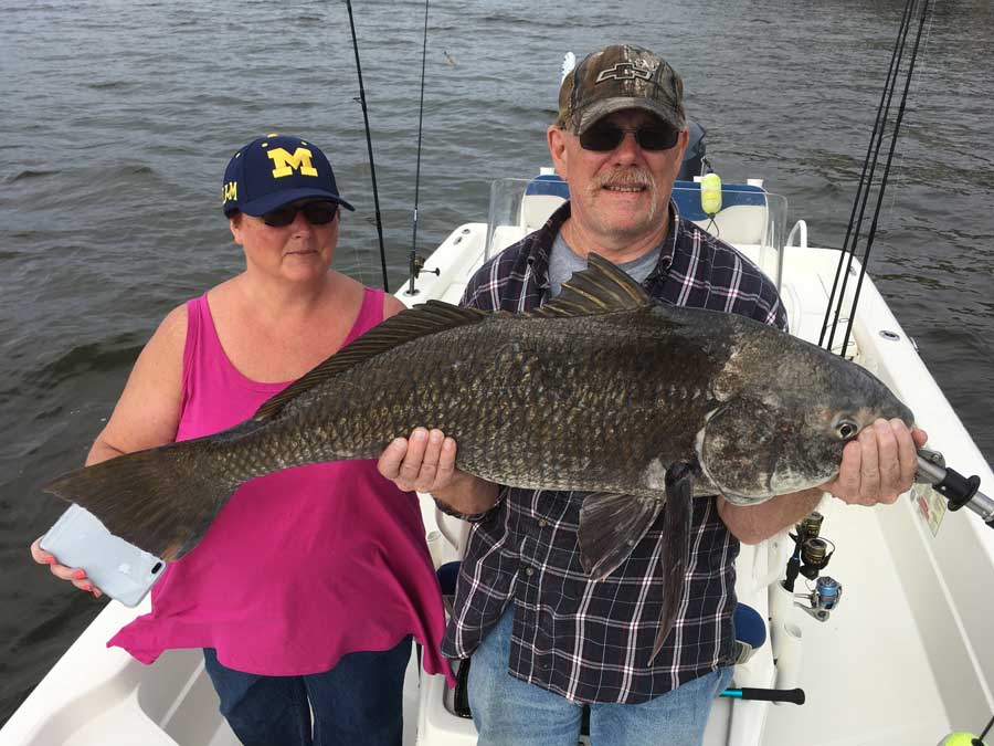 Black drum caught in the lagoon with Capt. Jim Ross