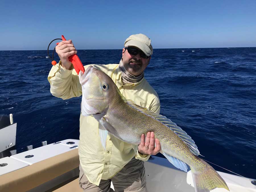 Big Tilefish caught offshore of Port Canaveral