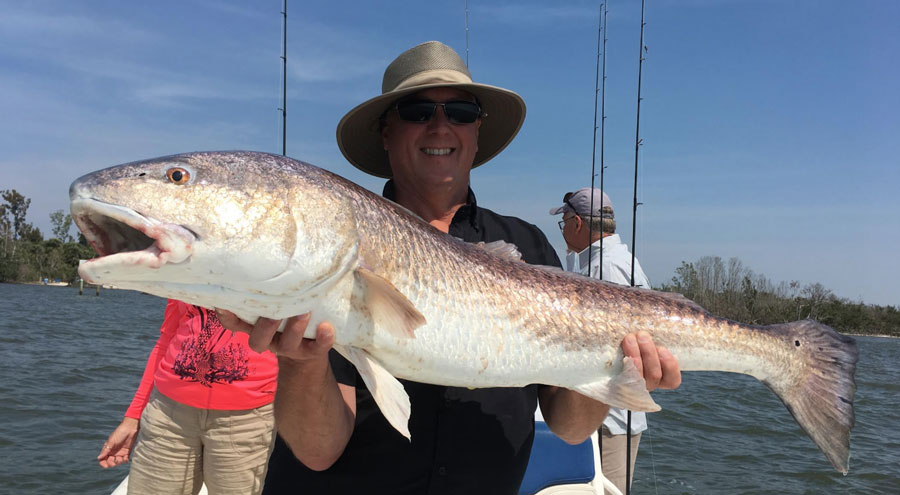 strong redfish bite in the Indian River Lagoon