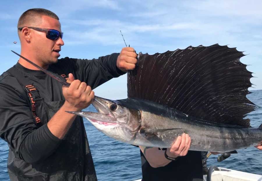 Sailfish caught offshore with Fired Up Charters