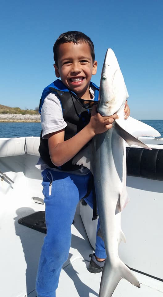 Justin is a shark-catching MACHINE!