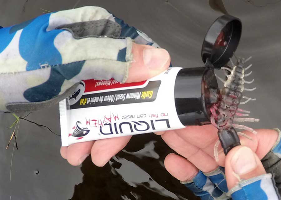 Use scents to increase your odds of hooking a catfish