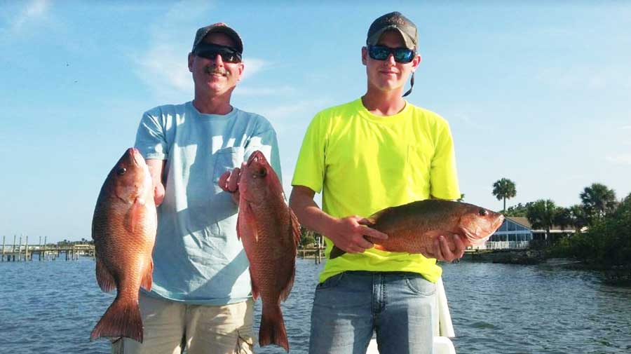 Mangrove Snapper are showing up in pretty good numbers on Brevard's bridges