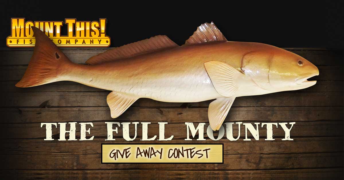 Mount This Redfish Replica Giveaway