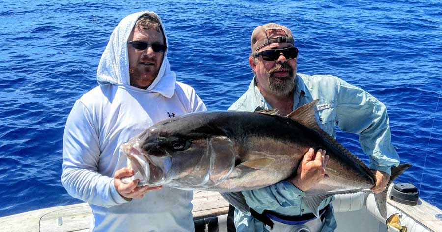 Catching a lot of Amberjack offshore out of Port Canaveral
