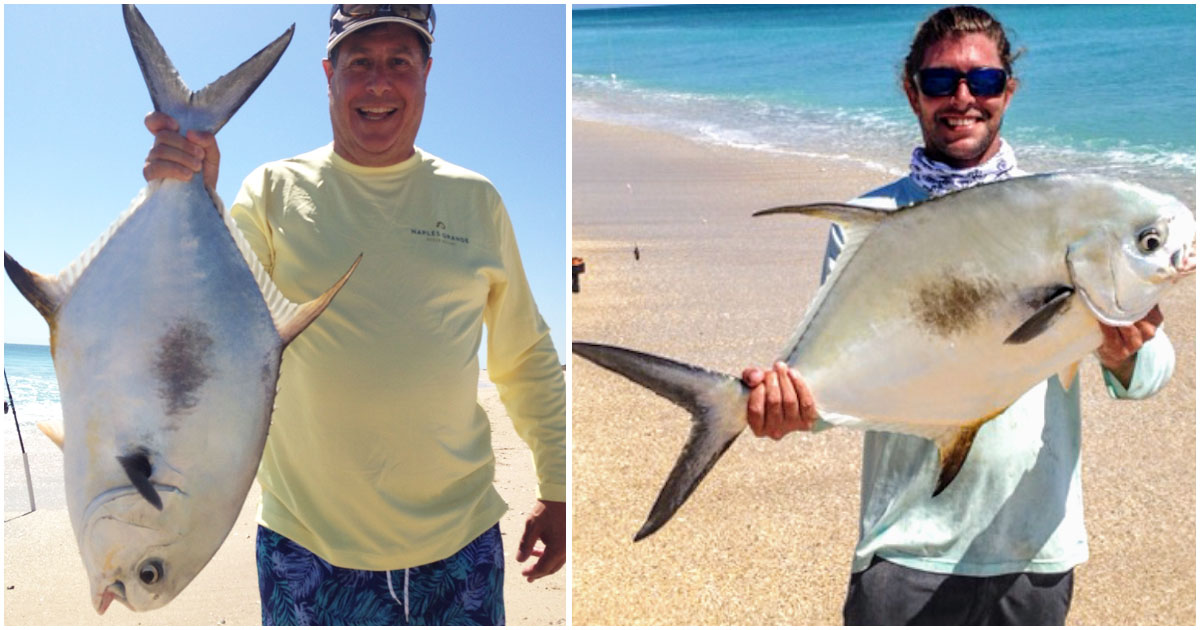 Two enormous permit doubled-up while surf fishing at Sebastian Inlet