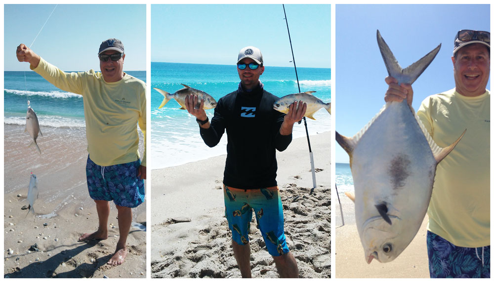 pompano are still being caught from the surf on Brevard Beaches!
