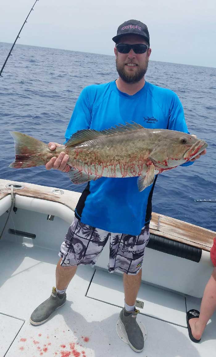 Grouper caught with Capt. Jimmy on a big day fishing offshore!