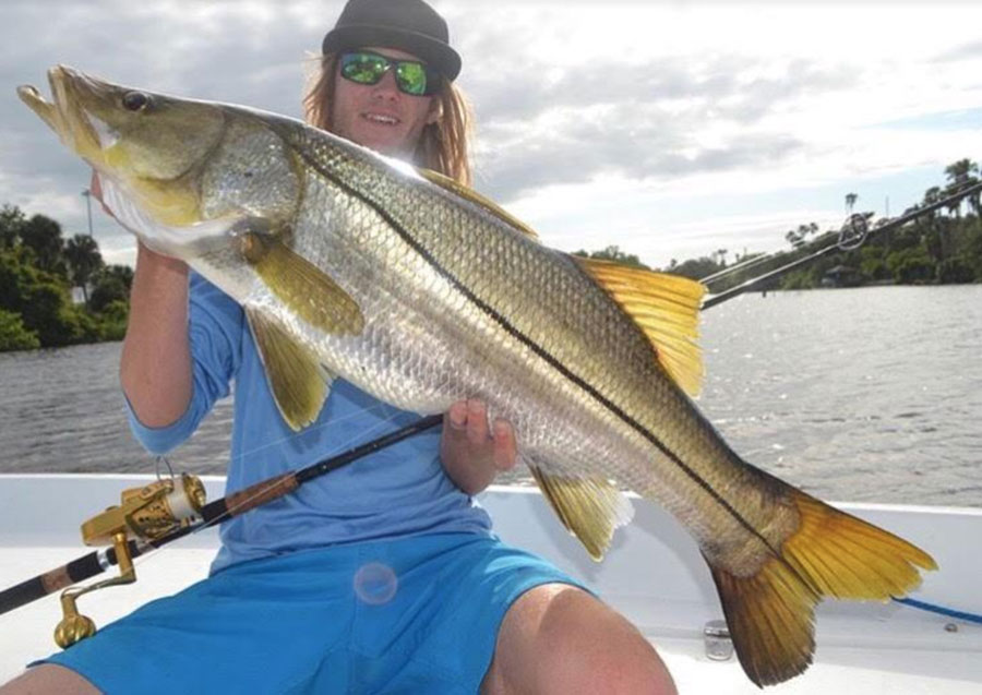 Snook are running thick in the Lagoon