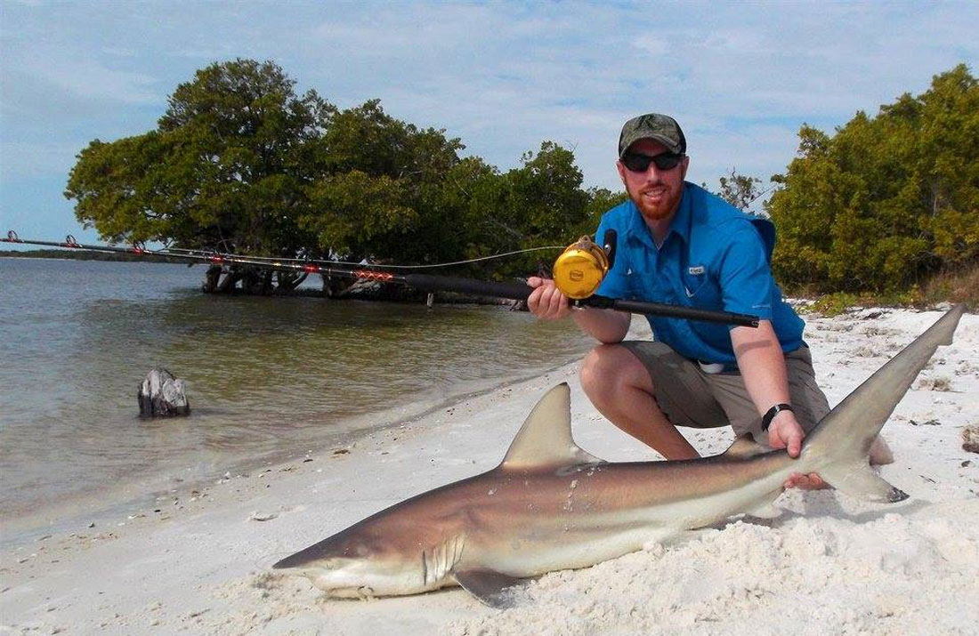 Another shark tagged my Ryan Wood from the Spoil Islands in the IRL