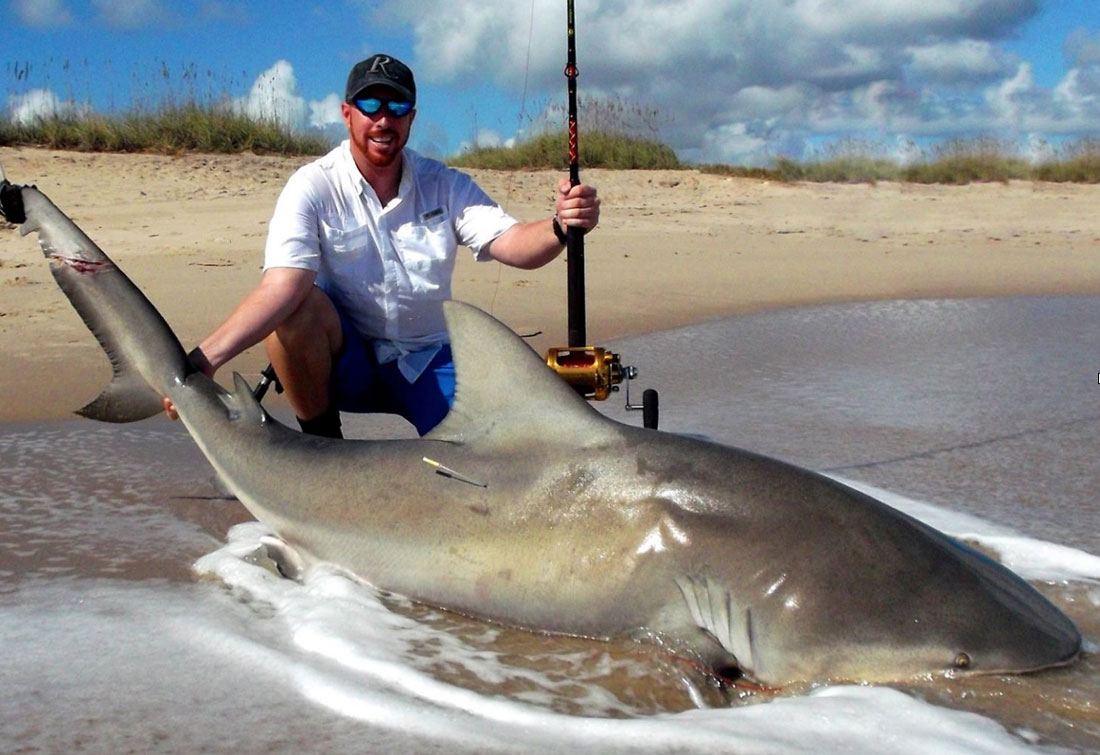 Ryan Wood overviews the controversy surrounding Land Based Shark Fishing and the call for further regulation of the sport