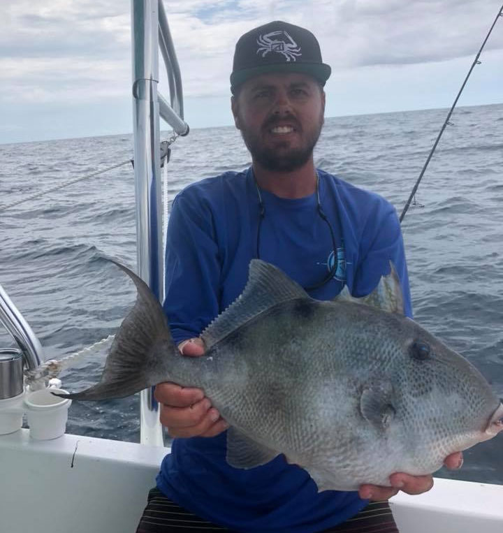 Big triggerfish caught by Capt. Jesse Austin of Going Coastal Charters