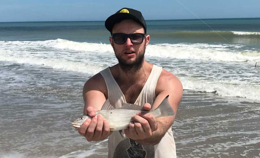 bull whiting caught surf fishing at the beach!
