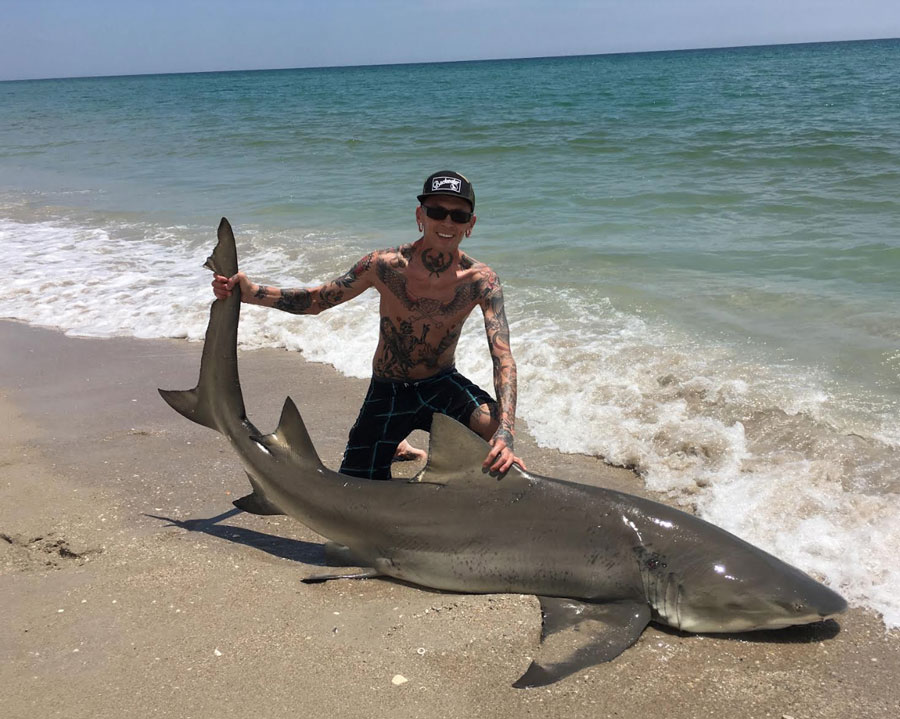 shark fishing from the surf