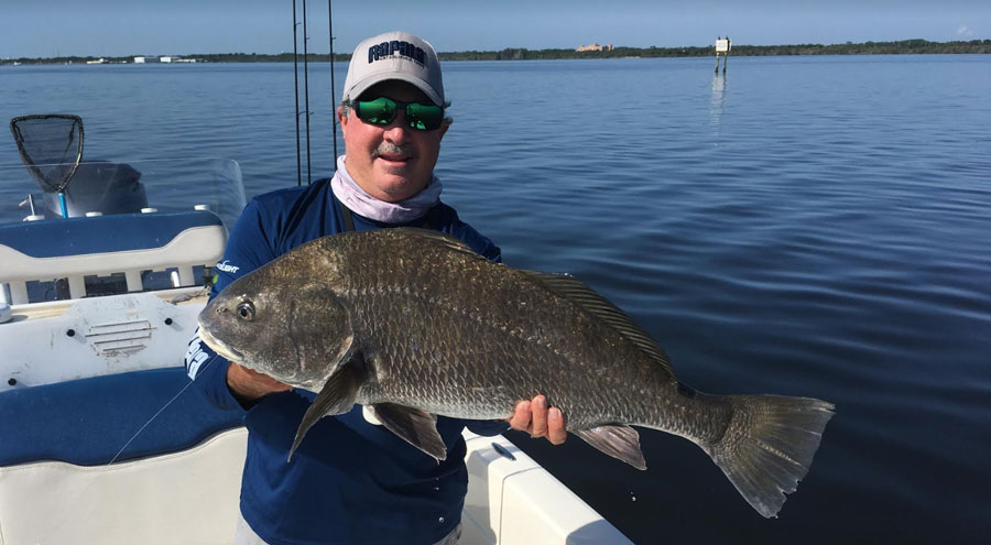 black drum on the flats