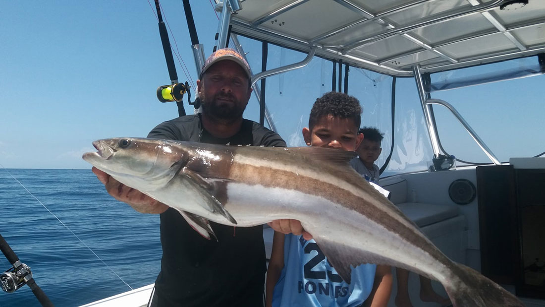 The fish are biting plenty offshore -- even Cobia are showing up!