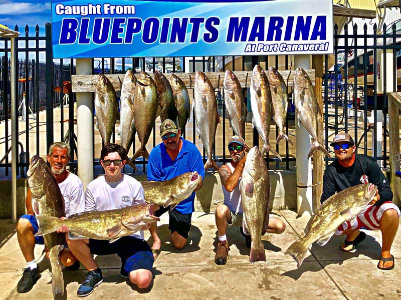 grouper limits out of port canaveral