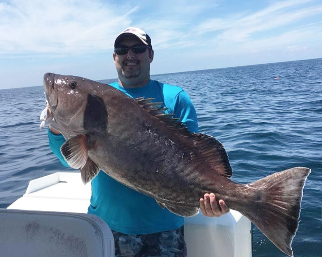 Dentist Jasin Youmans hooks up with a behemoth grouper!