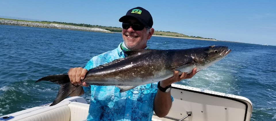 keep an eye out in the chum line for cobia