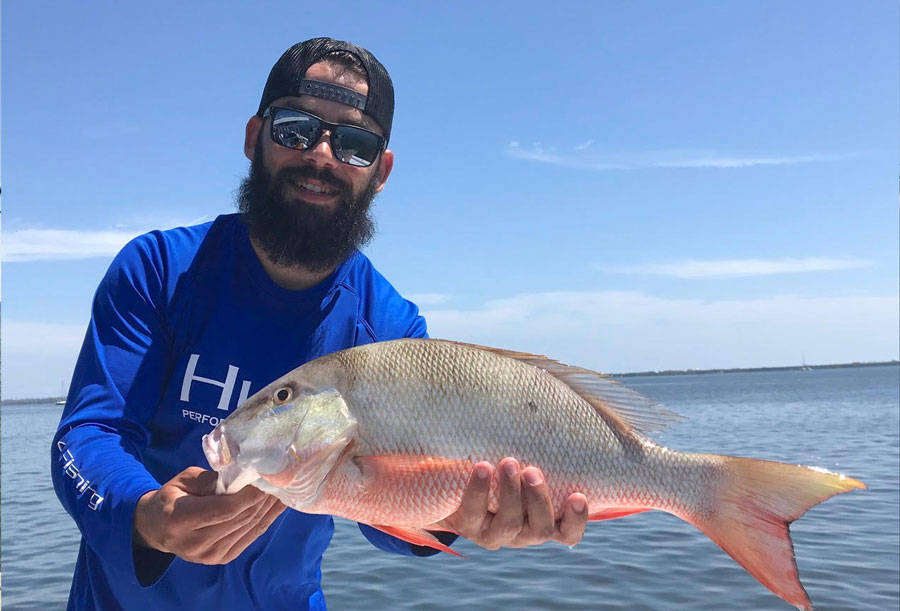 Mangrove snapper are active nearshore along with beach!