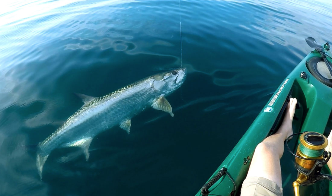 Ryan Wood breaks in his new kayak with a monster tarpon off the beach!