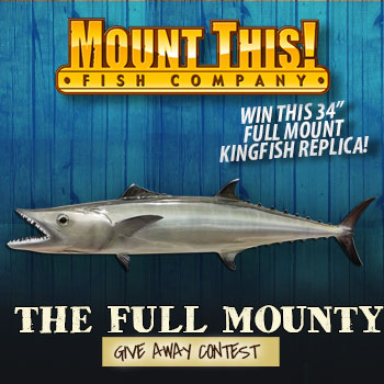 Full Mounty Kingfish Giveaway Contest