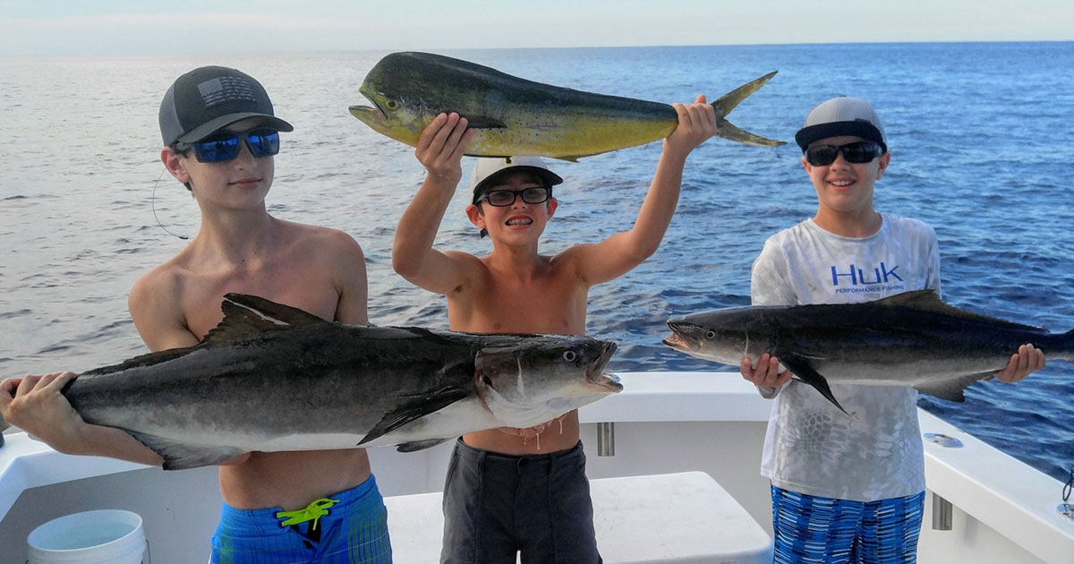 Cobia and dolphin offshore