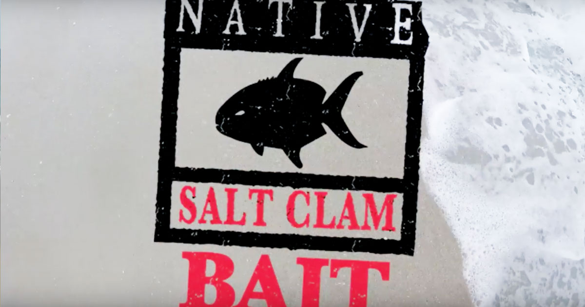 NATIVE SALT CLAM BAIT