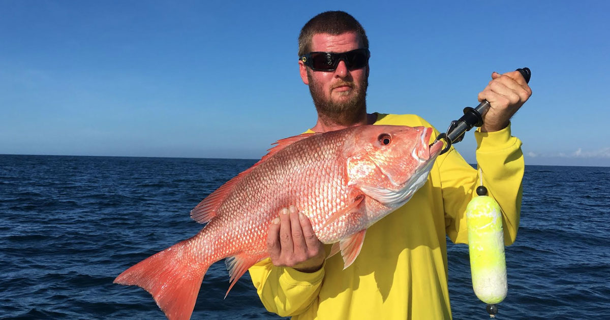 red snapper season - Port Canaveral