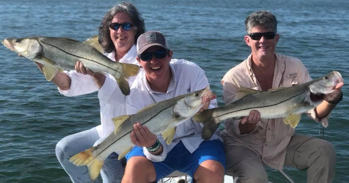 snook season is upon us!