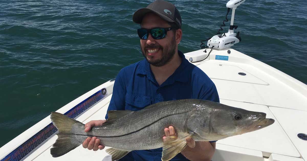 snook fishing with Capt. Jim Ross