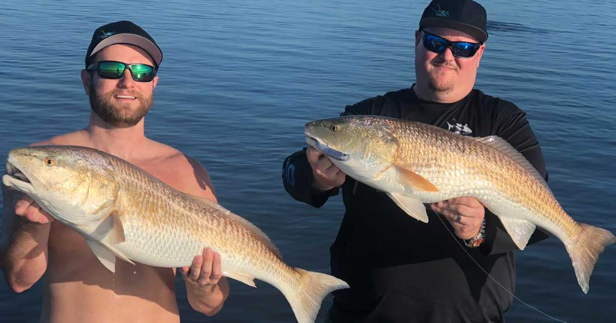 Redfish bite is still going well in the Indian River Lagoon