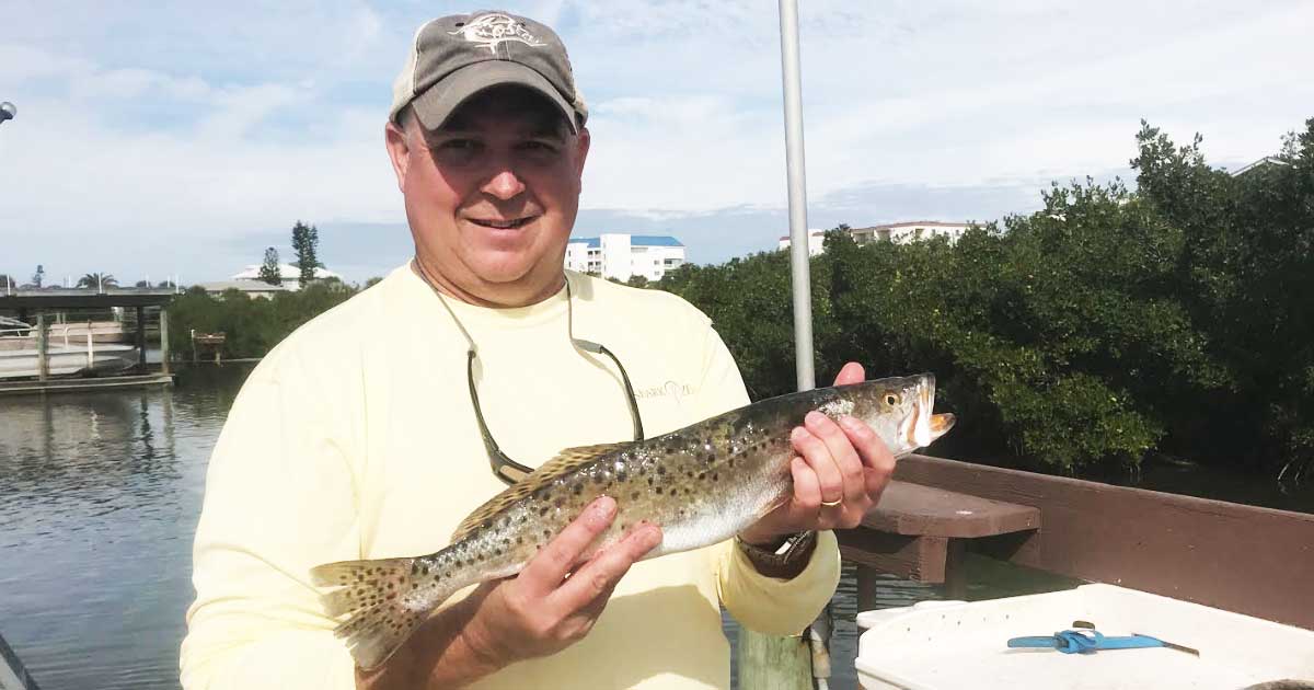 Mosquito Lagoon spotted seatrout