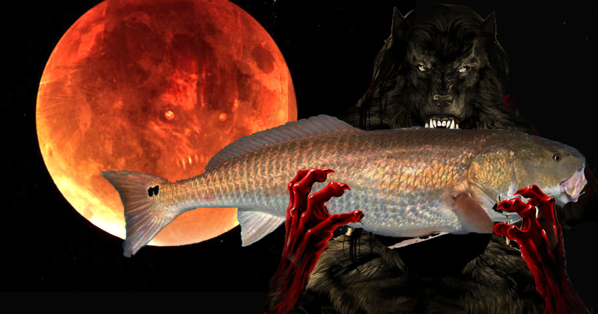 fishing on the super blood wolf moon