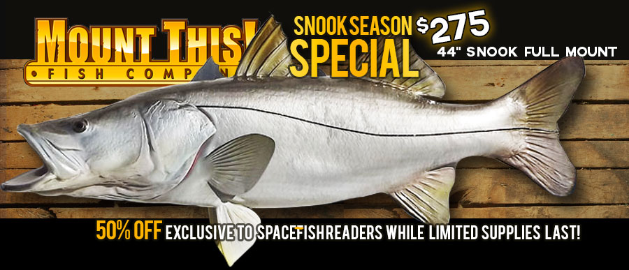 snook replica special - mount this