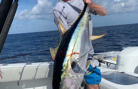 wicked tuna