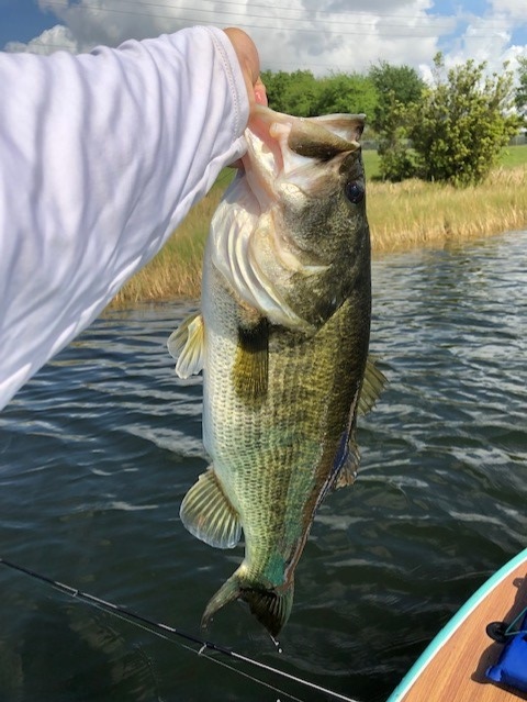 March bass fishing