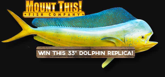 Mount This Fish Giveaway Contest