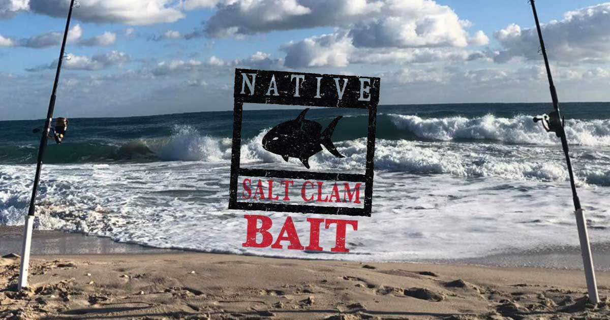 Getting Even Clammier and Fishier – Native Salt Surf Fishing Report