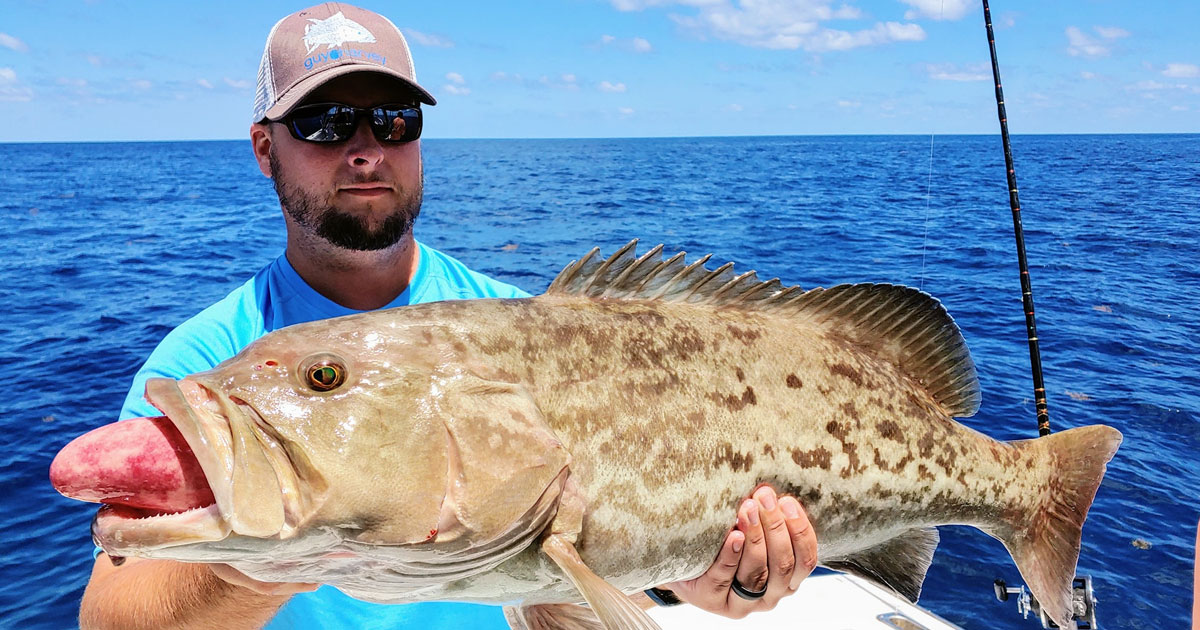 port canaveral grouper