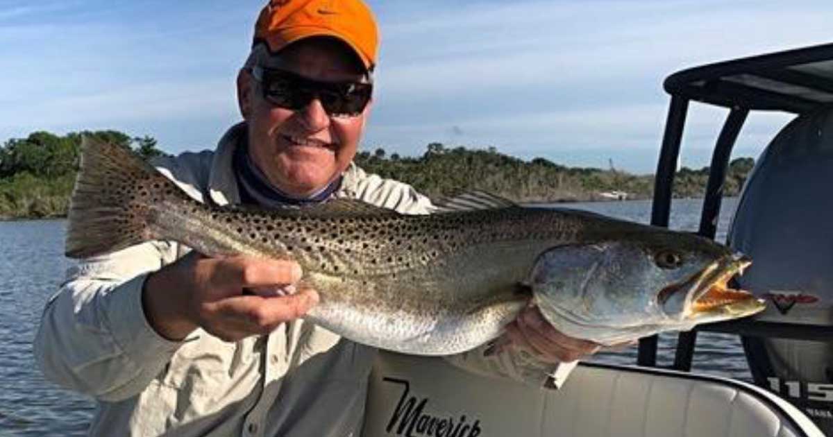 fly fishing for seatrout