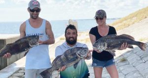 fishing the Pineda Causeway