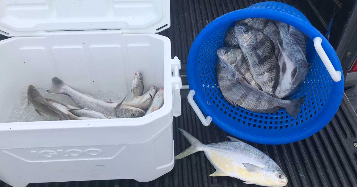 central Florida surf fishing report