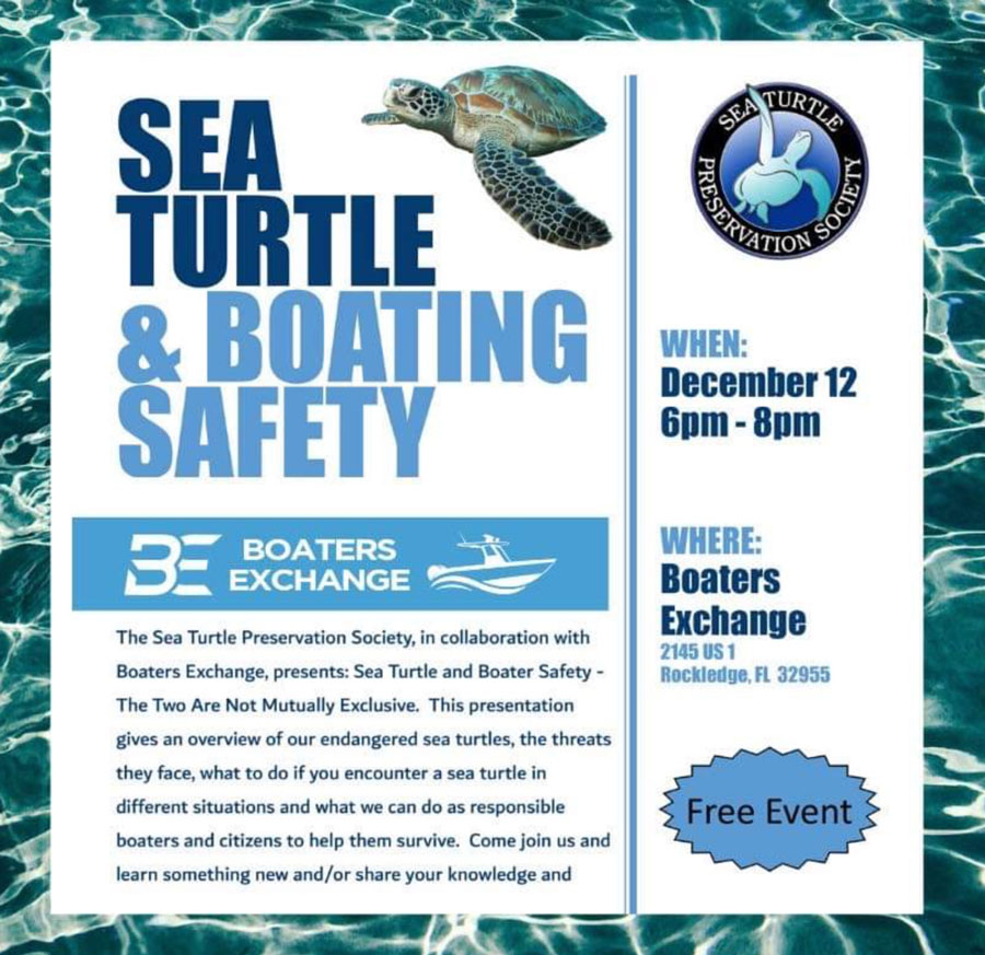 sea turtle and boating safety