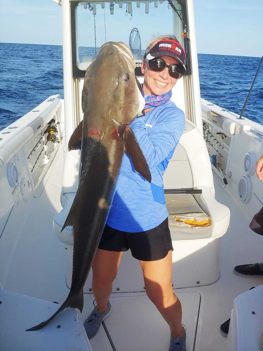monster cobia