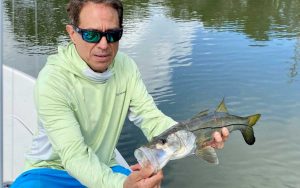 snook