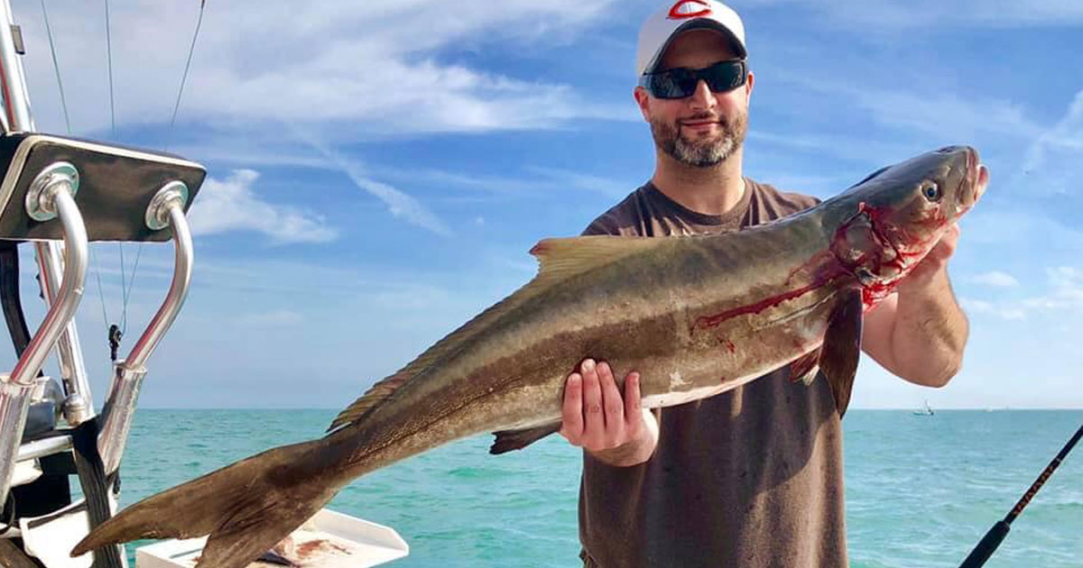 port canaveral cobia fishing