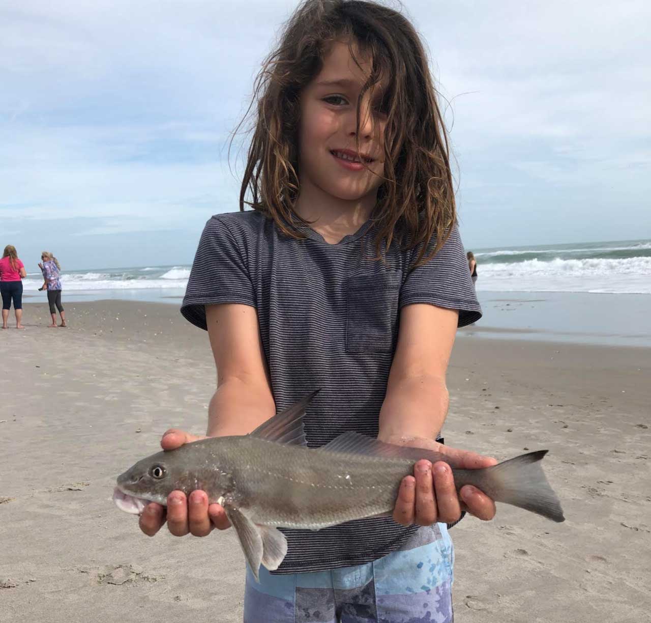 surf fishing report - whiting