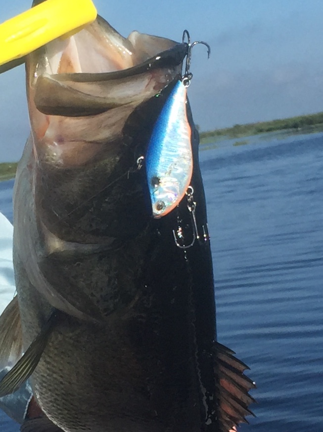 bass fishing headwater lake