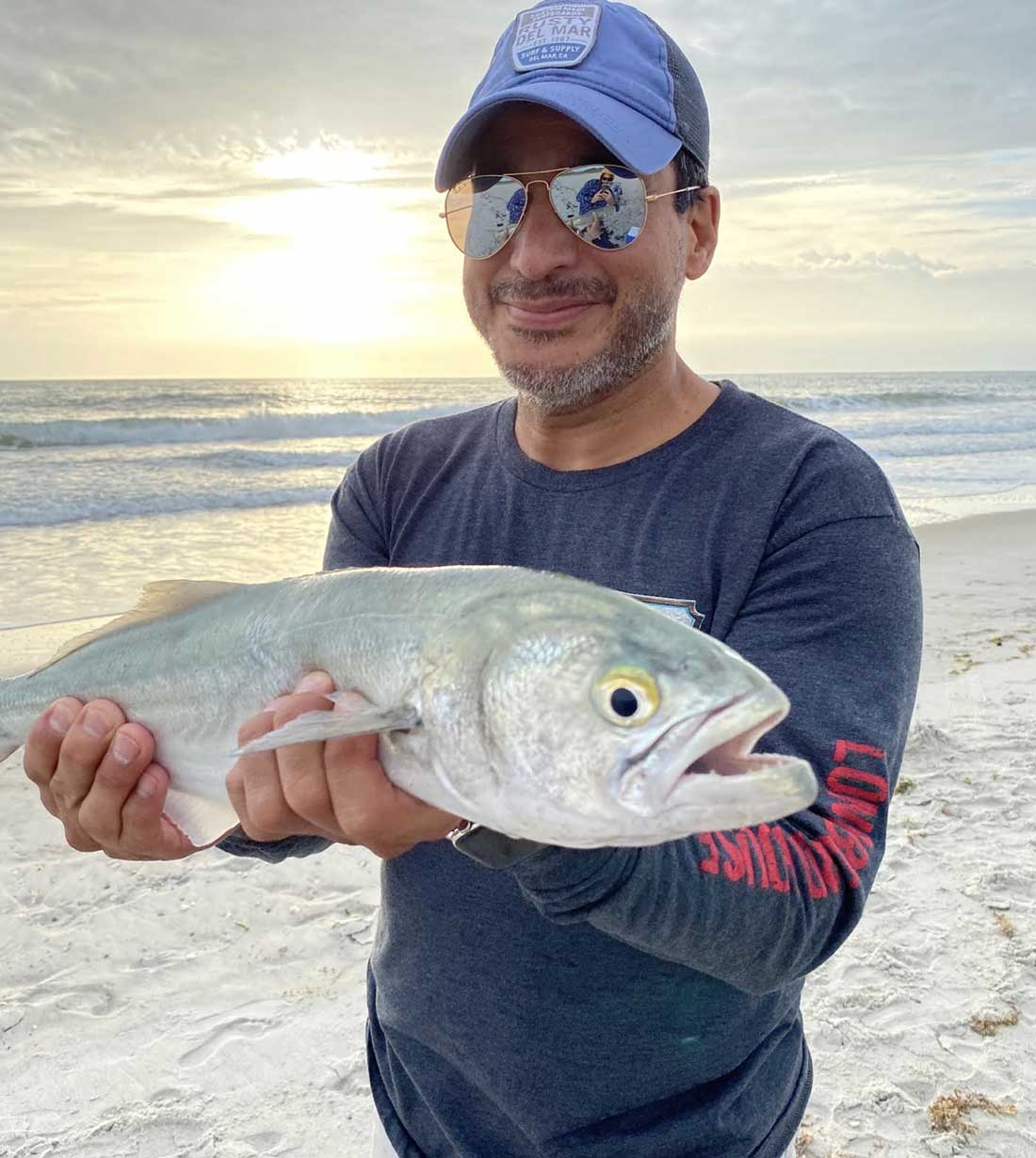 bluefish in the surf